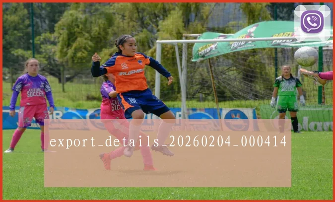 export_details_20260204_000414