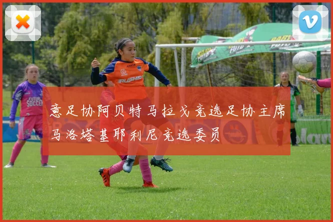 意足协阿贝特马拉戈竞选足协主席马洛塔基耶利尼竞选委员