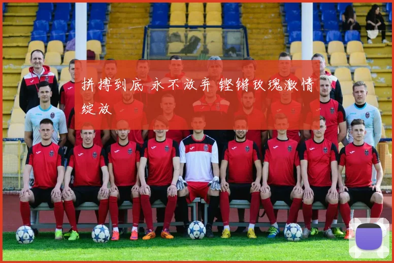 拼搏到底 永不放弃 铿锵玫瑰激情绽放