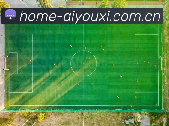 爱游戏体育平台生态图